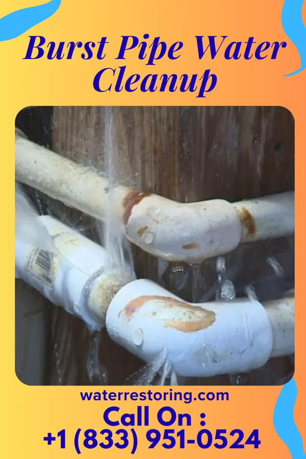 Burst Pipe Water Cleanup in Mechanicsburg, IL
