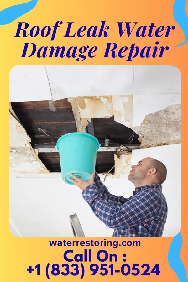 Roof Leak Water Damage Repair in Mechanicsburg, IL